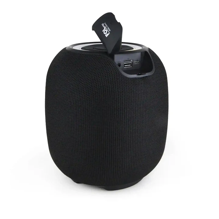 Portable Speaker FS-R118 - Image 3